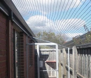 Cat Enclosure Netting
