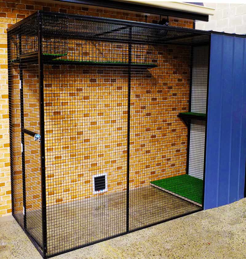cat enclosures